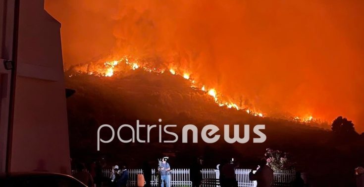 φωτιά Ηλεία Γρύλλος