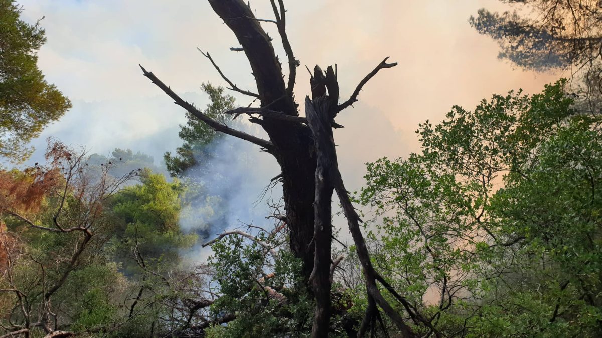 φωτιά στη Λευκάδα