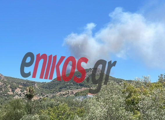 φωτιά Μέγαρα