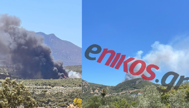 φωτιά Μέγαρα