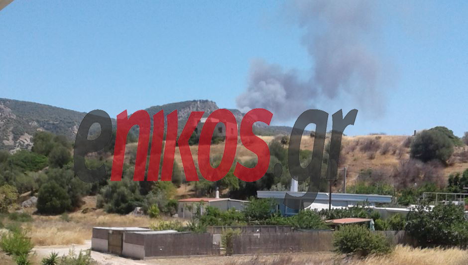 φωτιά στα Μέγαρα