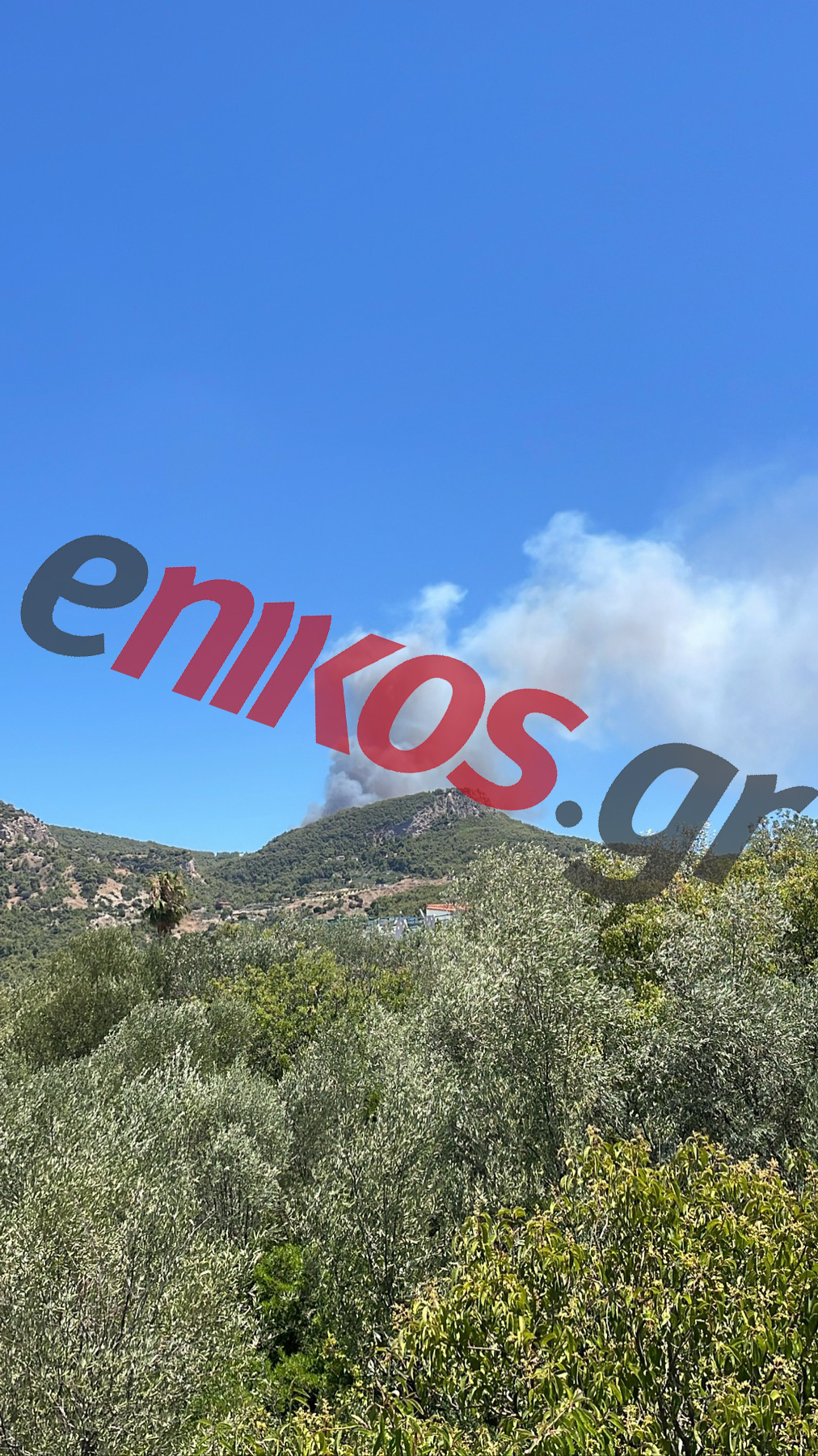 φωτιά στα Μέγαρα