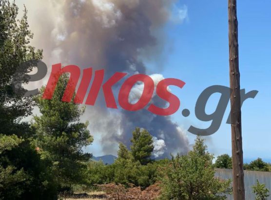 φωτιά Πόρτο Γερμενό