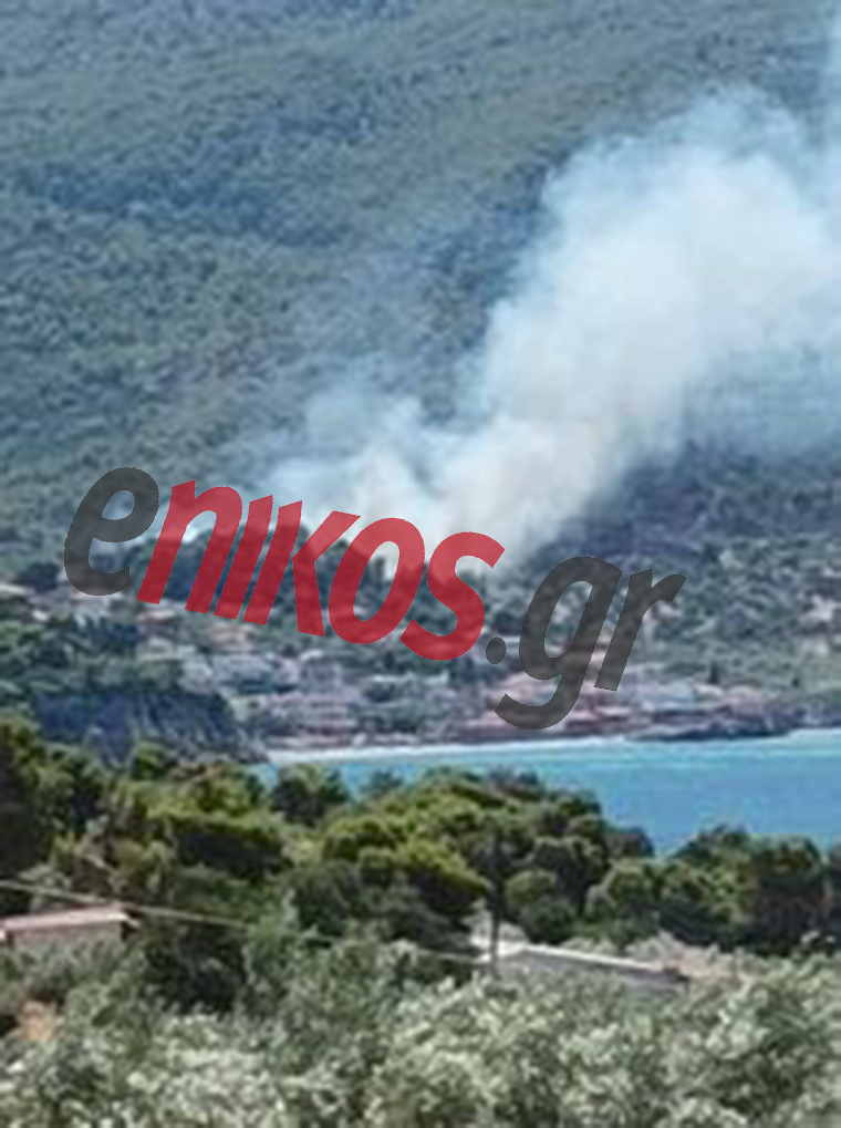 φωτιά στο Πόρτο Γερμενό