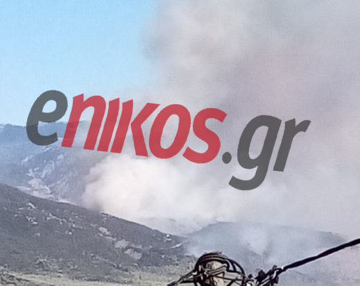 φωτιά Φωκίδα