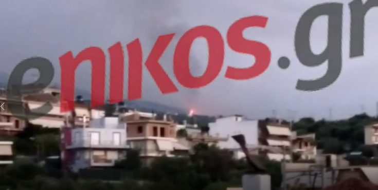 φωτιά στην Καλλιθέα Πάτρα