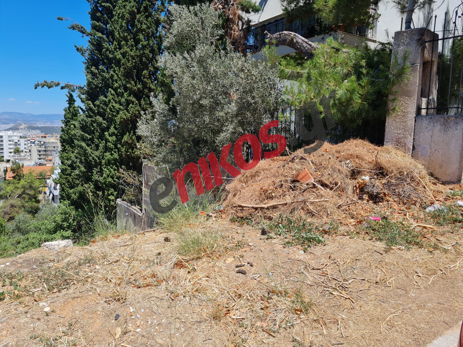 Καρέας Χόρτα