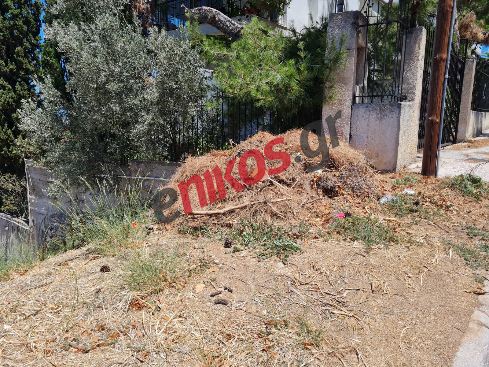 Καρέας Χόρτα