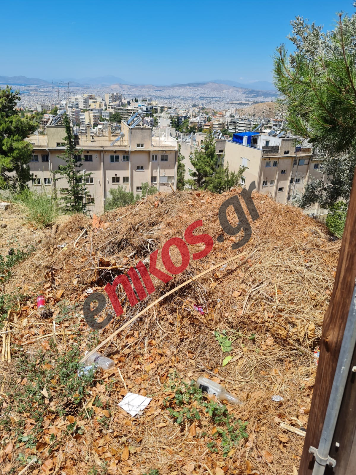 Καρέας Χόρτα