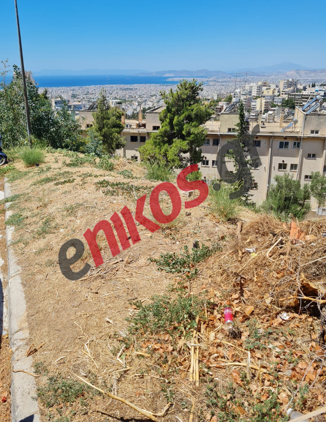 Καρέας Χόρτα