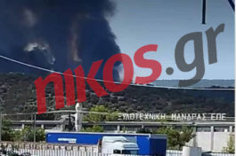 φωτιά στη Μάνδρα