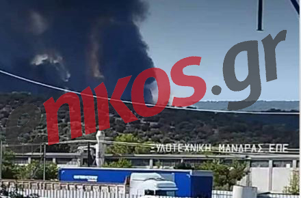 φωτιά στη Μάνδρα