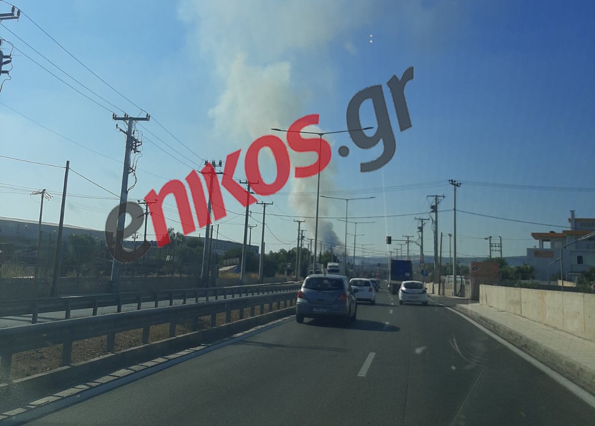 Φωτιά στην Μάνδρα: Οι πρώτες εικόνες – ΦΩΤΟ και ΒΙΝΤΕΟ αναγνώστη