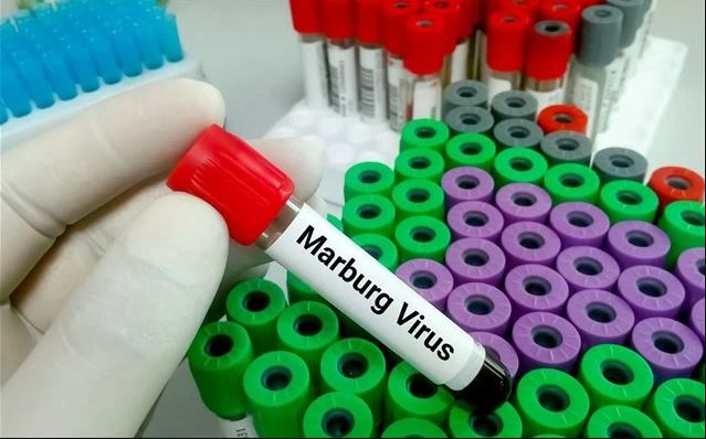 Στον απόηχο της πανδημίας του κορονοϊού, ο νέος υγειονομικός κίνδυνος εμφανίζεται με την μορφή του ιού Μάρμπουργκ