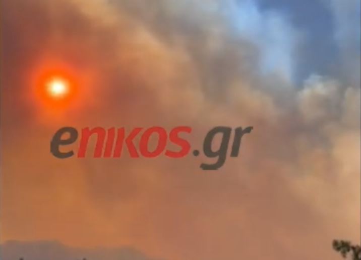 Νταού Πεντέλης: Κατευθύνεται στο Ντράφι η φωτιά – ΒΙΝΤΕΟ αναγνώστη