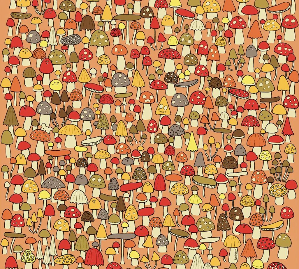 Εντοπίστε το ποντίκι σε αυτή την οπτική ψευδαίσθηση σε 20 δευτερόλεπτα για να σημειώσετε νέο ρεκόρ