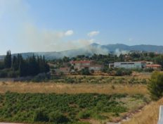 φωτιά Παλλήνη