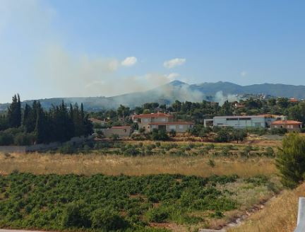 φωτιά Παλλήνη