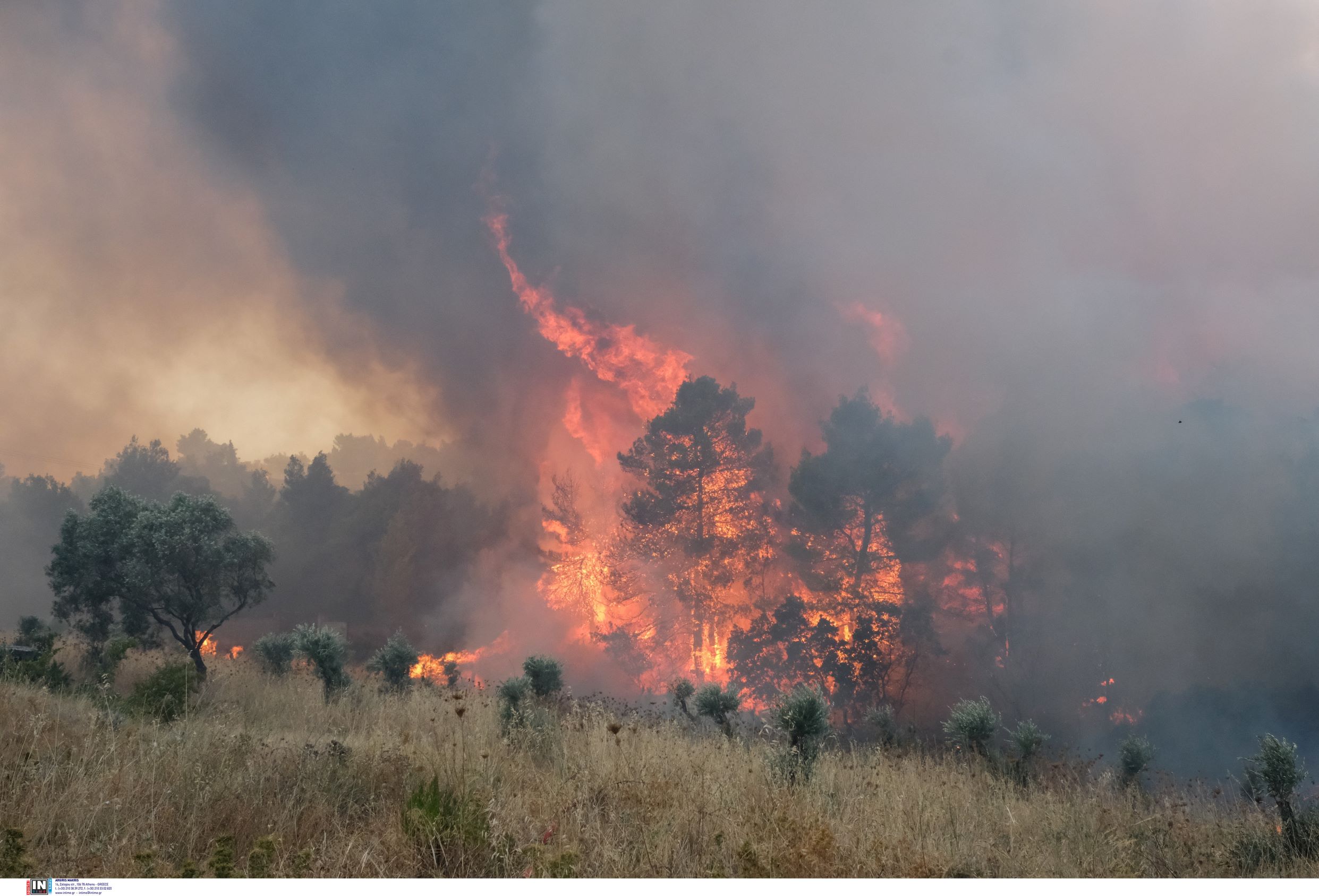 Φωτιές: Πολύ υψηλός κίνδυνος αύριο για τις Περιφέρειες Αττικής και Στερεάς Ελλάδας
