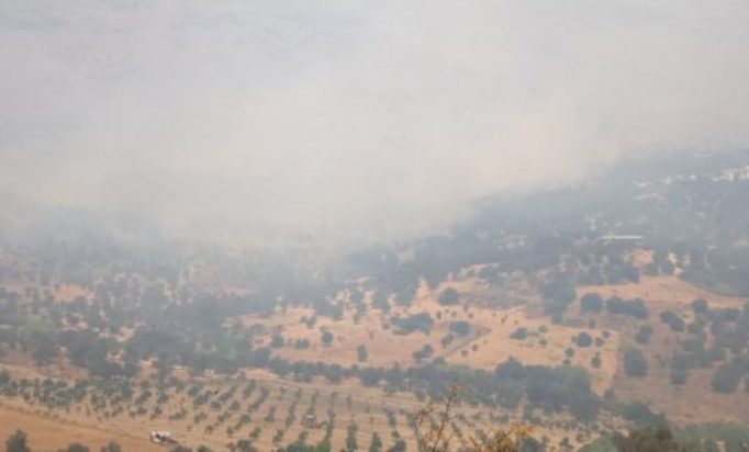 Ρέθυμνο φωτιά