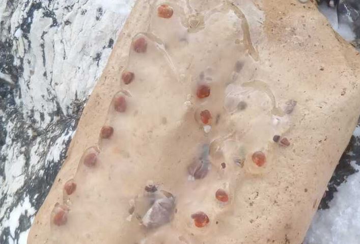 Σαλιάρα- παραλία Πάτρας