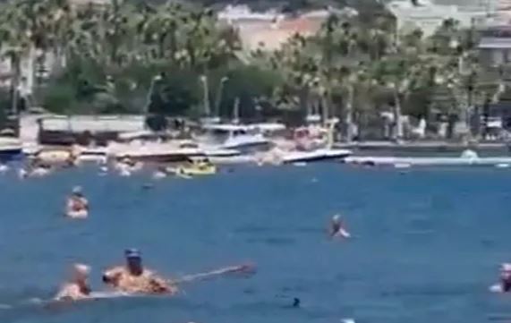 "καρχαρίας" Τουρκία