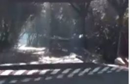 σπίτι αυτόχειρα στην Ανθούσα