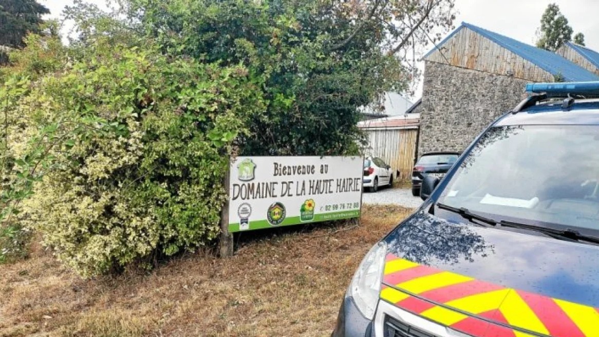 Γαλλία: Πόνι τραυμάτισαν 15 παιδιά και δύο γυναίκες σε κέντρο ιππασίας