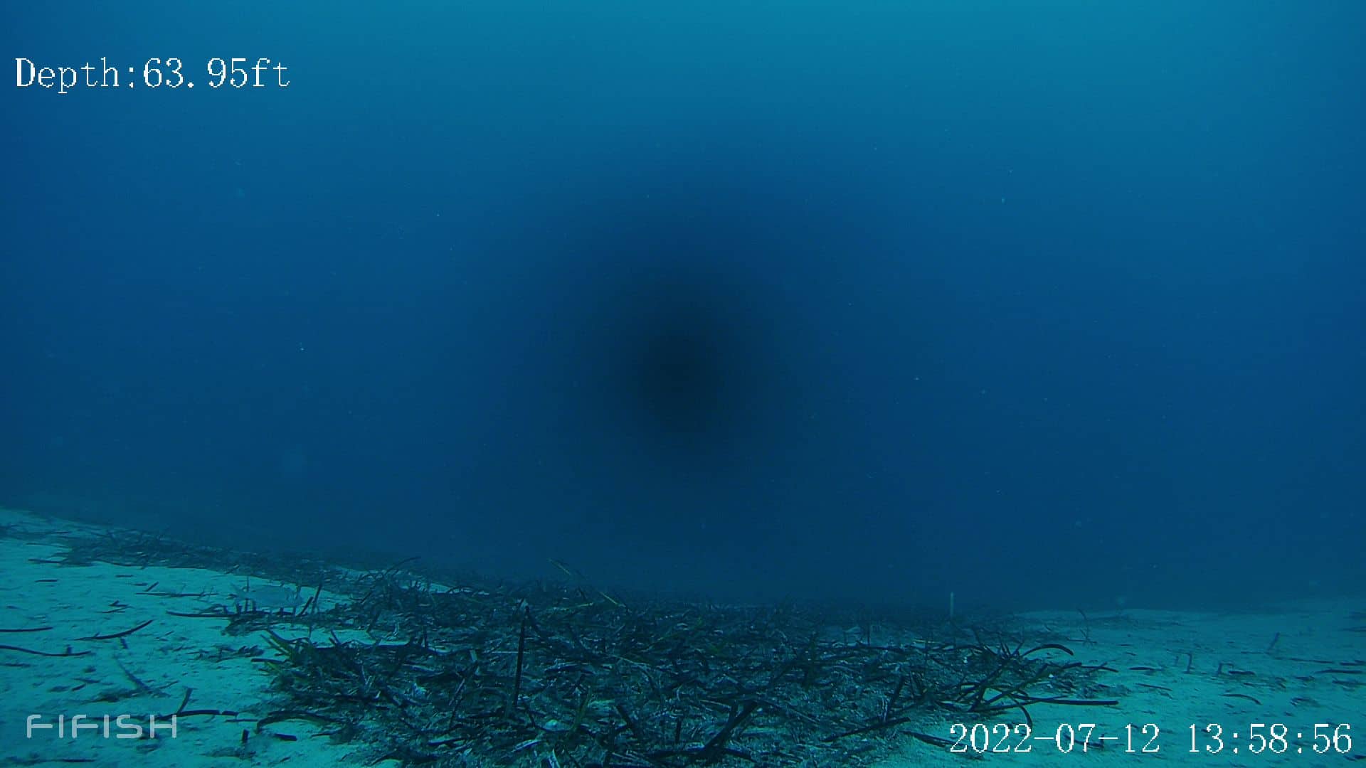 έρευνες Χαλκιδική