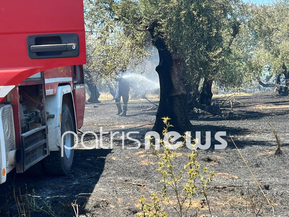 Φωτιά στο Χάβαρι Ηλείας