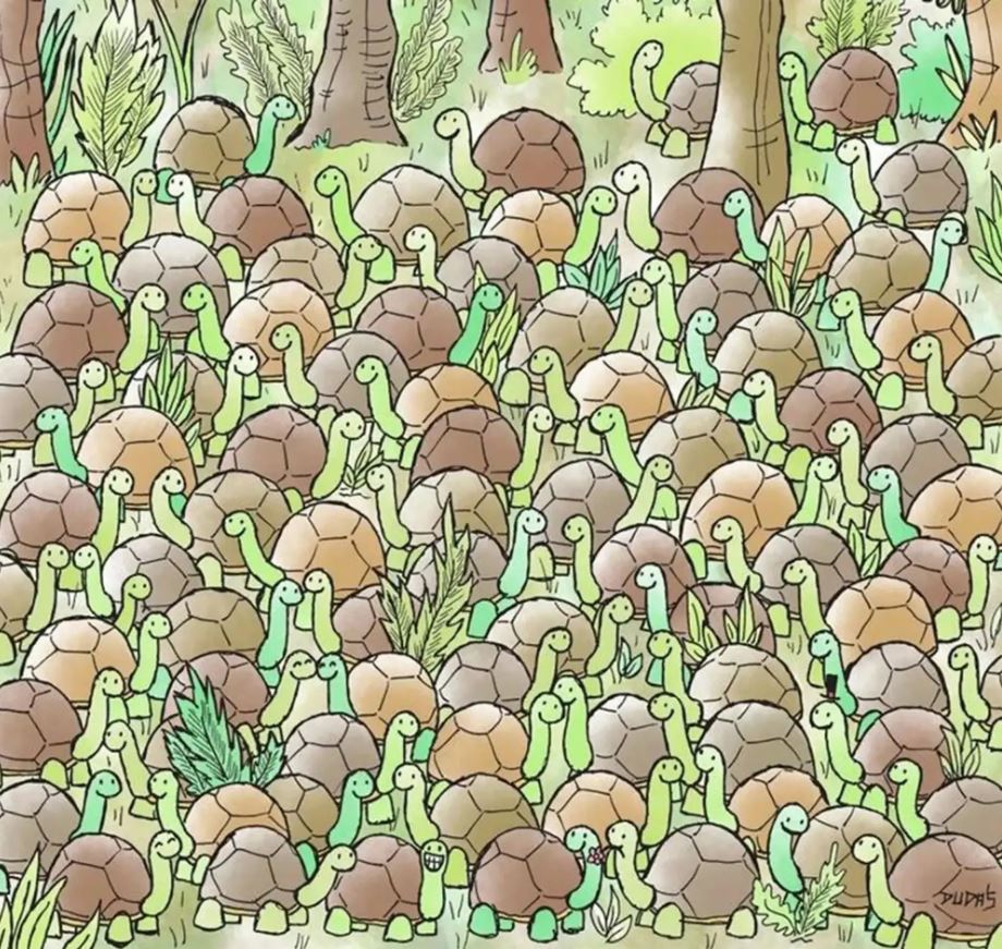 Εντοπίστε το φίδι σε αυτή την ύπουλη οπτική ψευδαίσθηση σε 15 δευτερόλεπτα για να σπάσετε το ρεκόρ