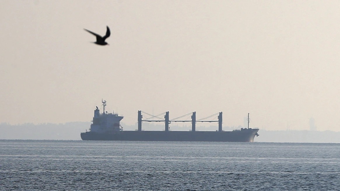 Ουκρανία: Το πρώτο, μετά την ρωσική εισβολή, υπό ξένη σημαία πλοίο κατέπλευσε σε ουκρανικό λιμάνι