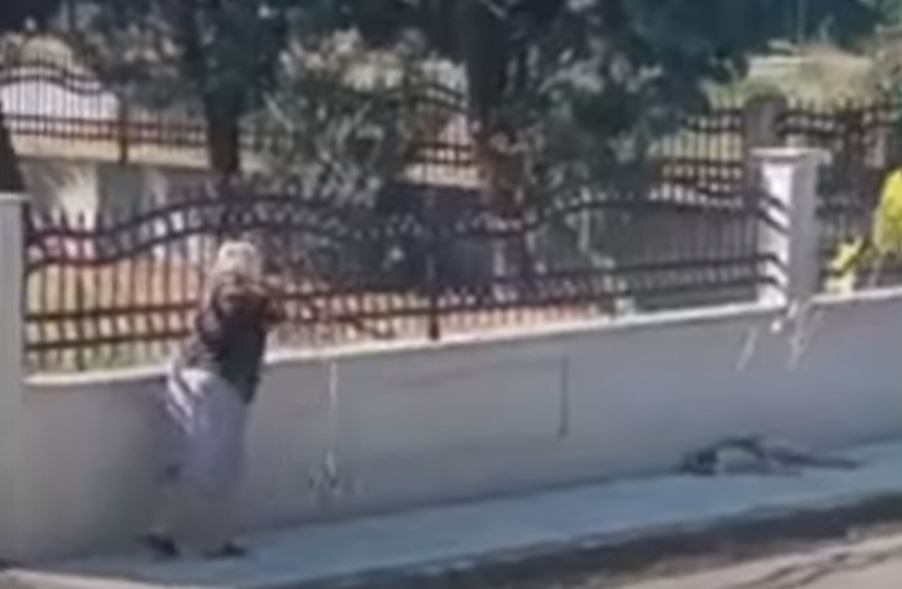 Θεσσαλονίκη: Οργή στα social media για βίντεο που δείχνει ηλικιωμένη να πετά τρίποδο σε σκύλο που κοιμόταν