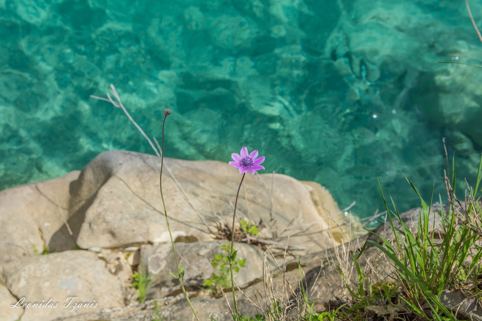Οδοιπορικό στον Μαυροβιρό