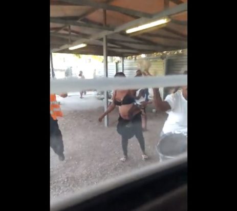 Ελαιώνας δομή μεταναστών