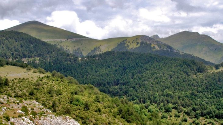 όρος Φαλακρό