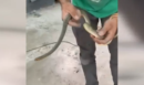 Θεσσαλονίκη: Φίδι εγκλωβίστηκε σε ντεπόζιτο βενζίνης αυτοκινήτου – ΒΙΝΤΕΟ