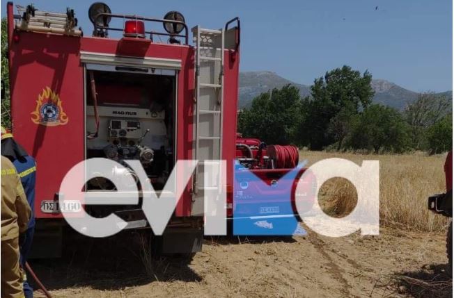 Φωτιά στα Ψαχνά