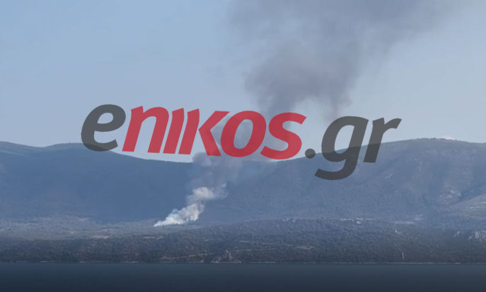 φωτιά Κορινθία