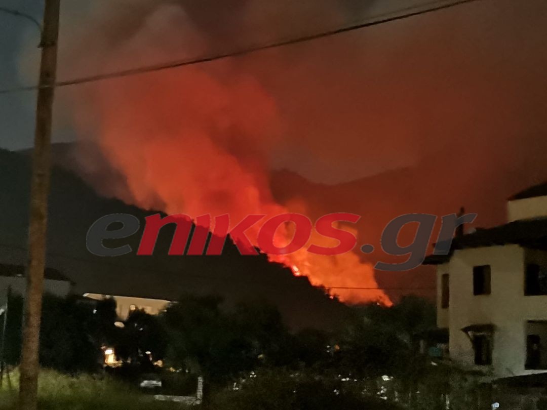 Φωτιά στη Θάσο: Οι πρώτες εικόνες της αναζωπύρωσης – ΦΩΤΟ αναγνώστη