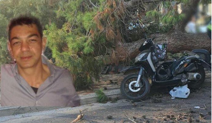 Πτώση δέντρου στο Ηράκλειο- Ένας νεκρός
