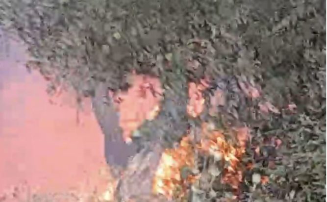 Φωτιά στην Κέρκυρα