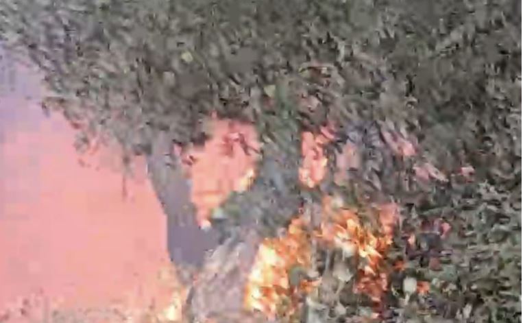 Φωτιά στην Κέρκυρα