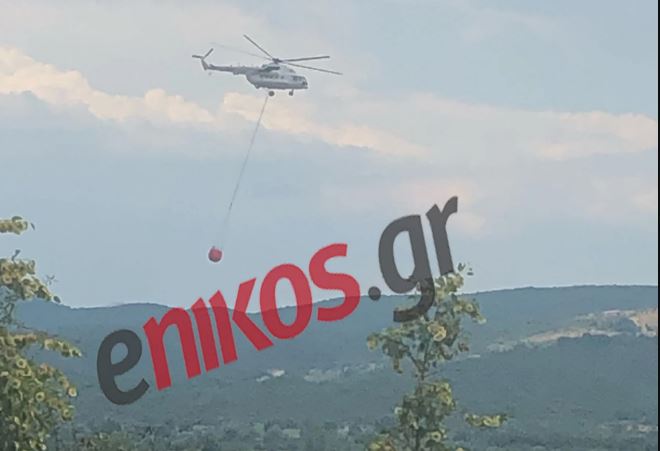 Φωτιά στην Κόνιτσα