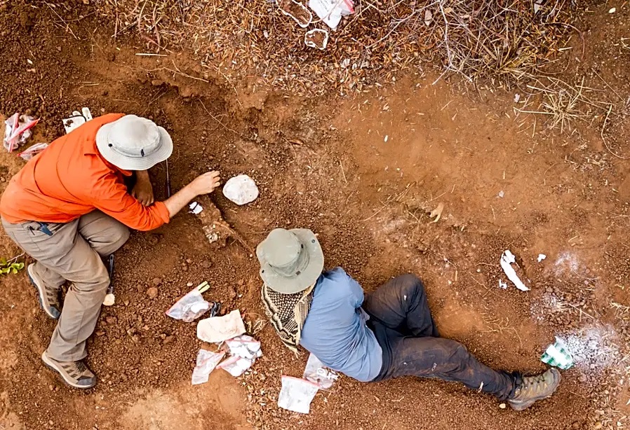 Mbiresaurus raathi δεινόσαυρος