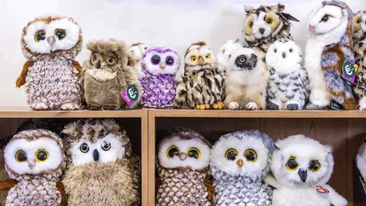 Οπτική ψευδαίσθηση: Μπορείτε να εντοπίσετε την αληθινή κουκουβάγια σε 5 δευτερόλεπτα;