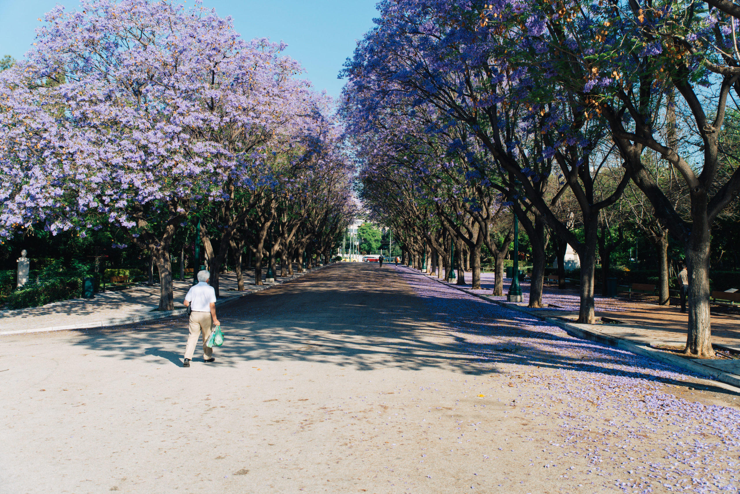 Κήπος του Ζαππείου 