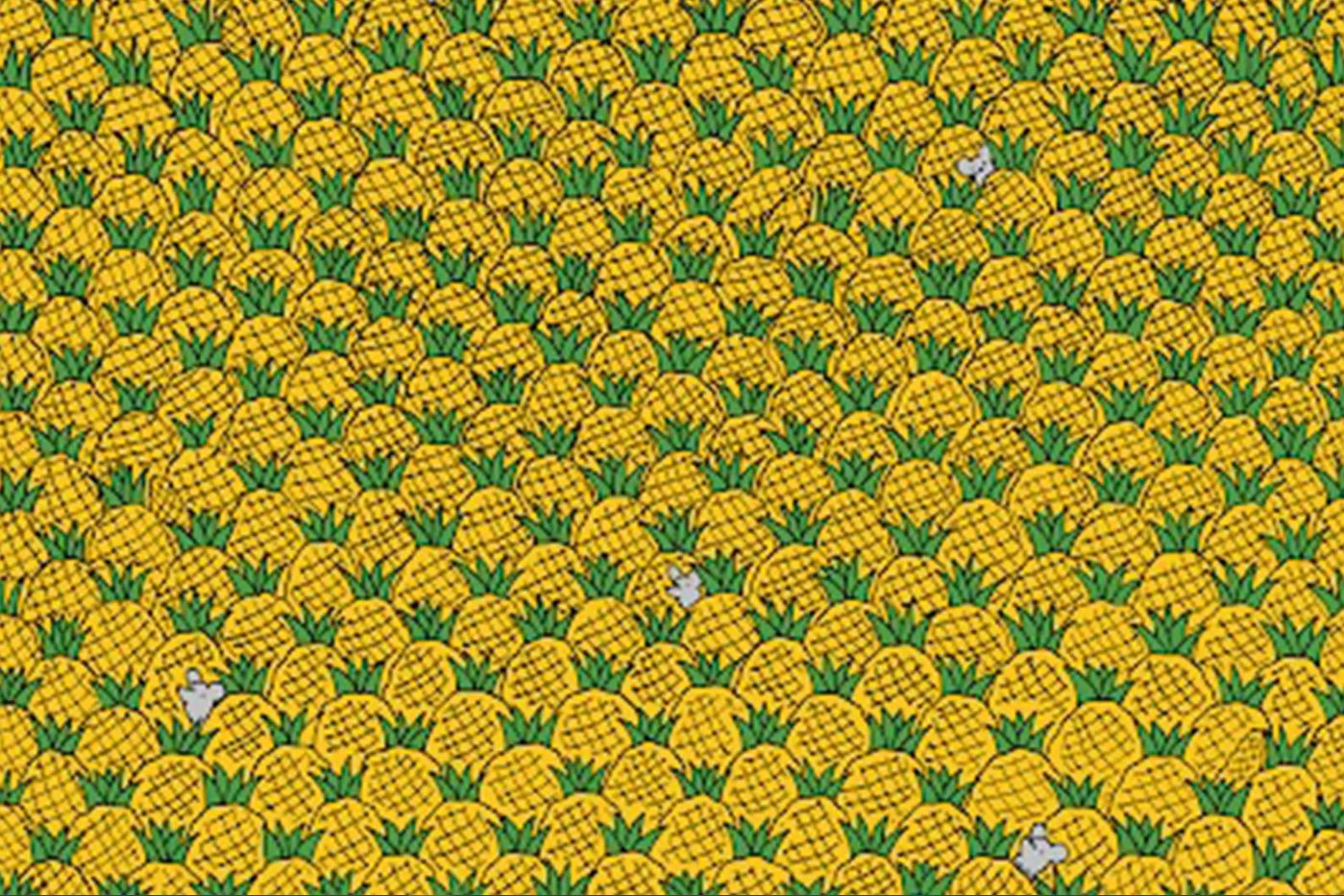 Παζλ αναζήτησης: Μπορείτε να εντοπίσετε τα τέσσερα καλαμπόκια που κρύβονται ανάμεσα στους ανανάδες;