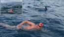 Δελφίνια στη διάσωση: Λευκός καρχαρίας πλησίασε κολυμβητή στις ακτές της Νέας Ζηλανδίας