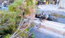 Ηράκλειο: Βίντεο ντοκουμέντο με την πτώση του δέντρου που στοίχισε την ζωή στον 51χρονο